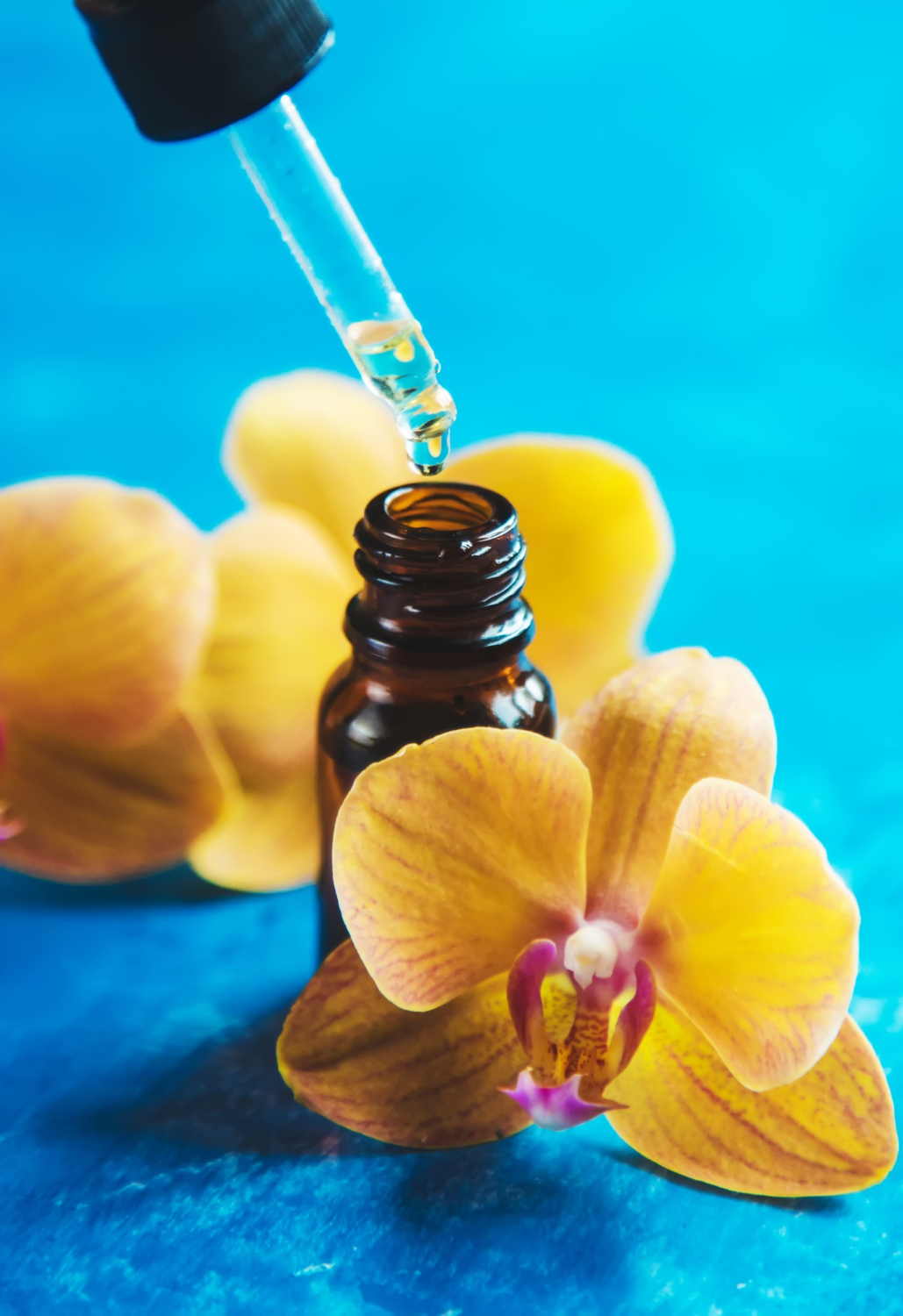 Terapia Floral de Bach - Para quem É a Terapia Floral de Bach - Energiza.ME - Terapias Complementares e Acessórios de Pedras Naturais Energizados com Reiki e Geometria Sagrada